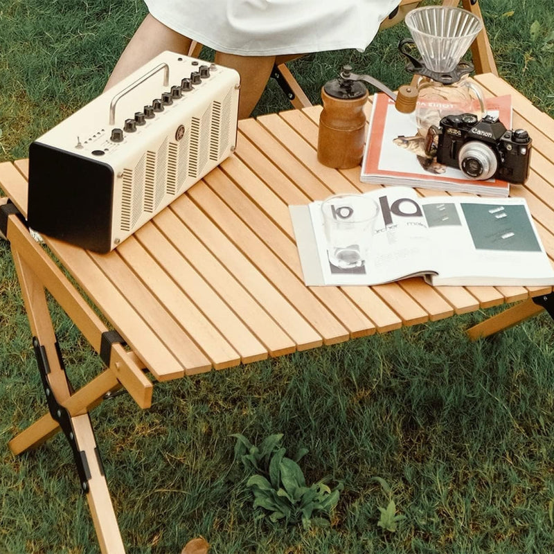 Portable Wood Folding Picnic Table